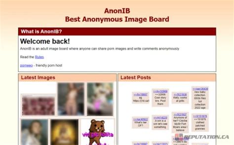 anon-ib|Is the website Anonib.com allowed to post pictures without